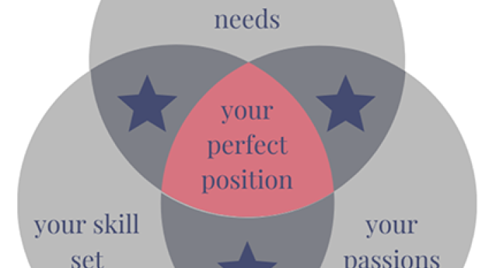 Venn diagram assessing community needs, passions and skills